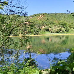public_albanie